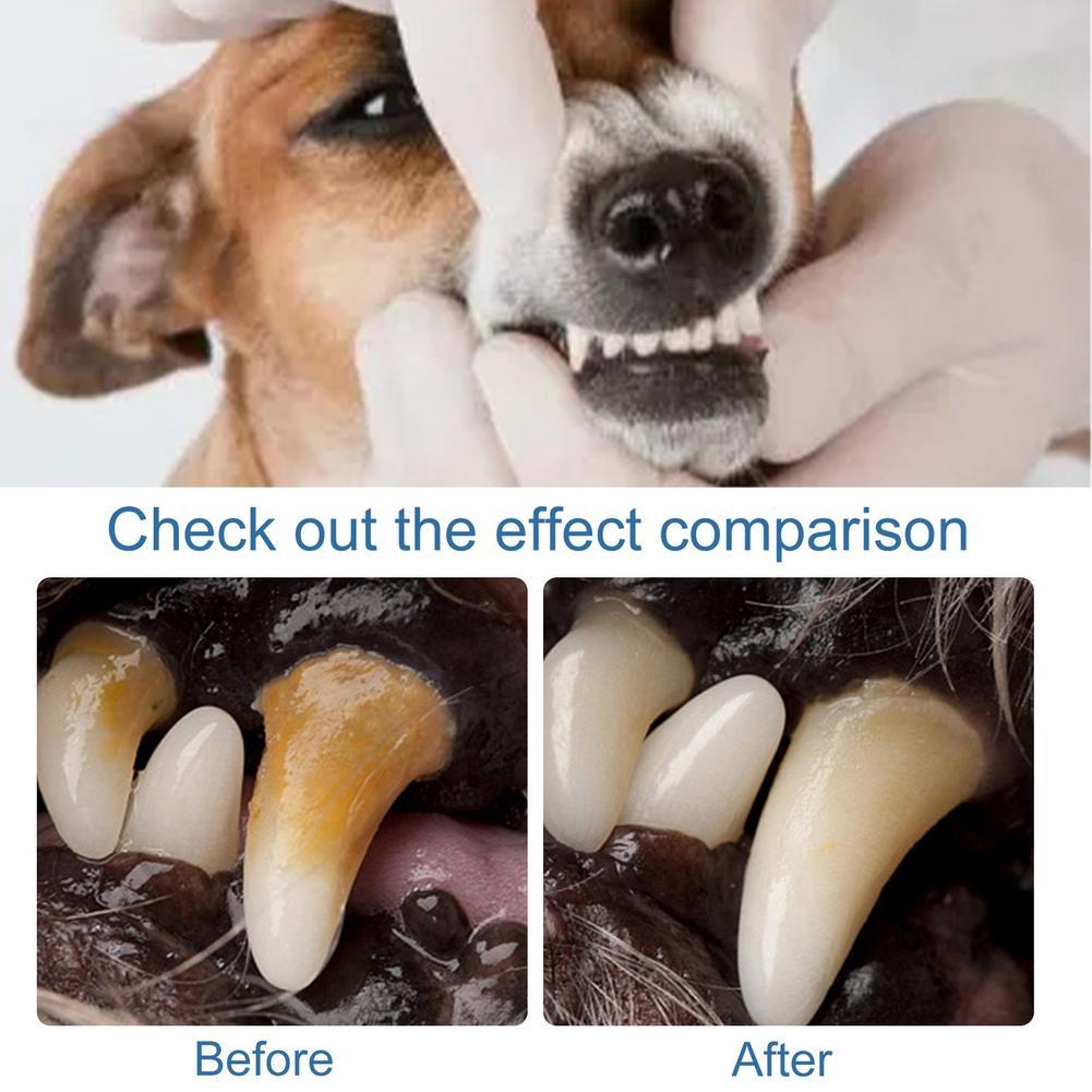 Пенка-спрей для ухода за полос – обзор и цена Teeth Whitening Foam